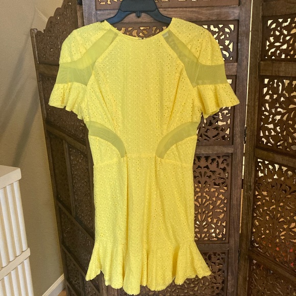 NEW NWT Karina Grimaldi Lila Eyelet Mini Dress - Picture 5 of 6